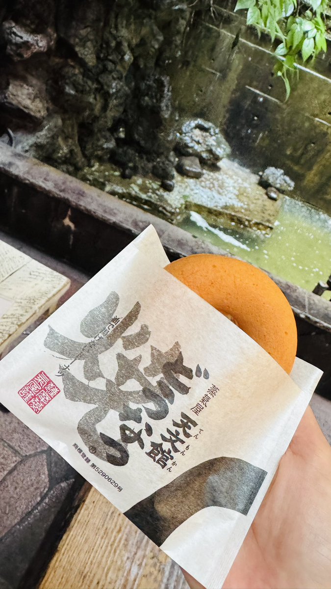 スタバ鹿児島仙巌園店行って城山のカフェ行って天文館の焼きたて焼きドーナツ買うという我等のお洒落スイーツ男子まさるプラン完全制覇🙌