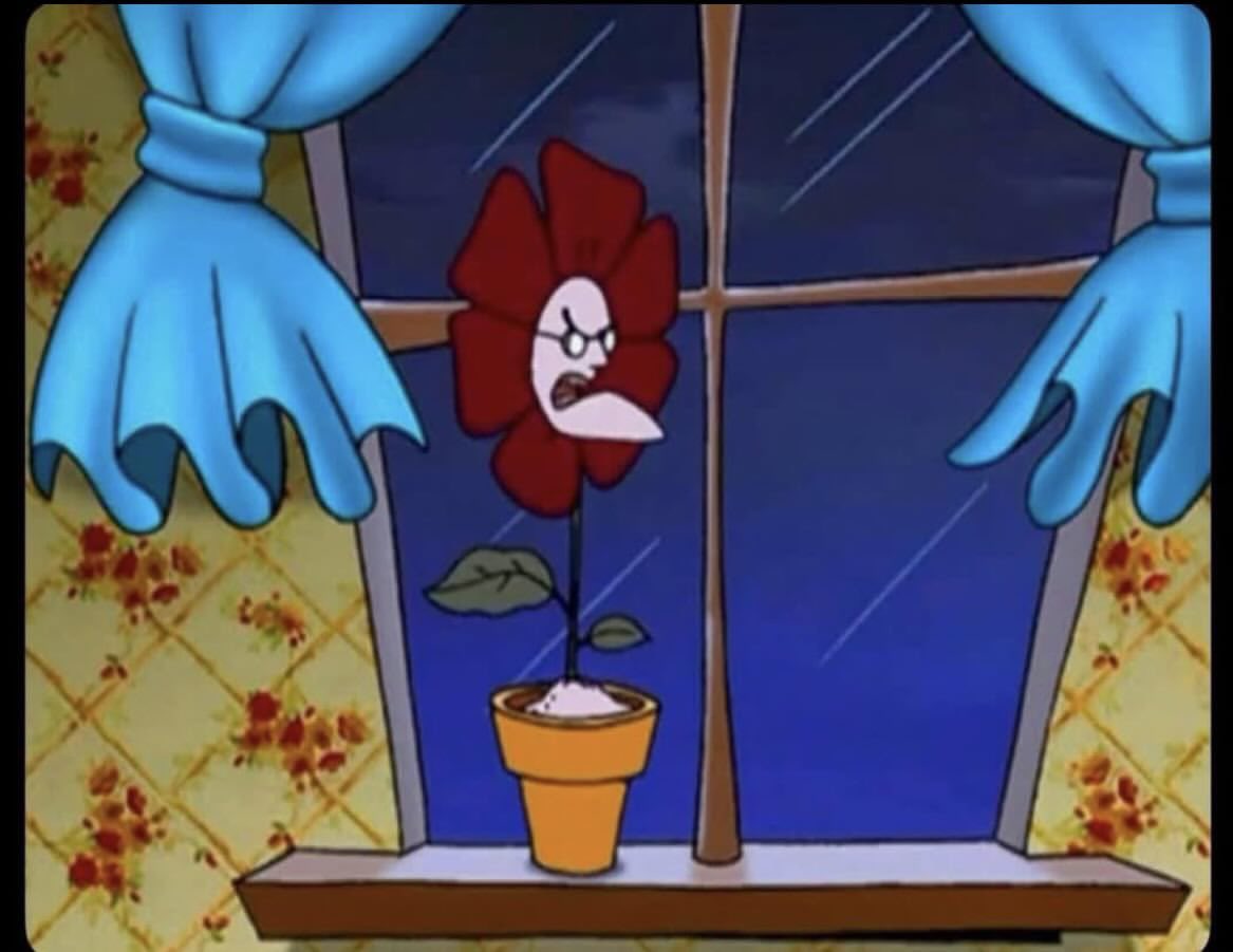 “Vas a florecer a tus 30”

La flor: