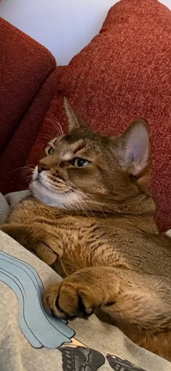 benceiiii's tweet image. ท่ามกลางดราม่ามากมาย ออนรับจบเอง