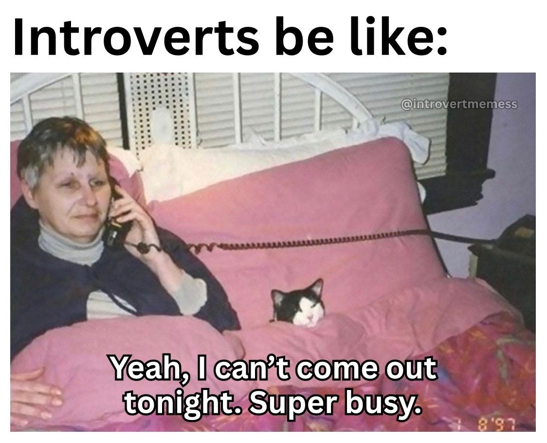 AllAbIntroverts's tweet image. 