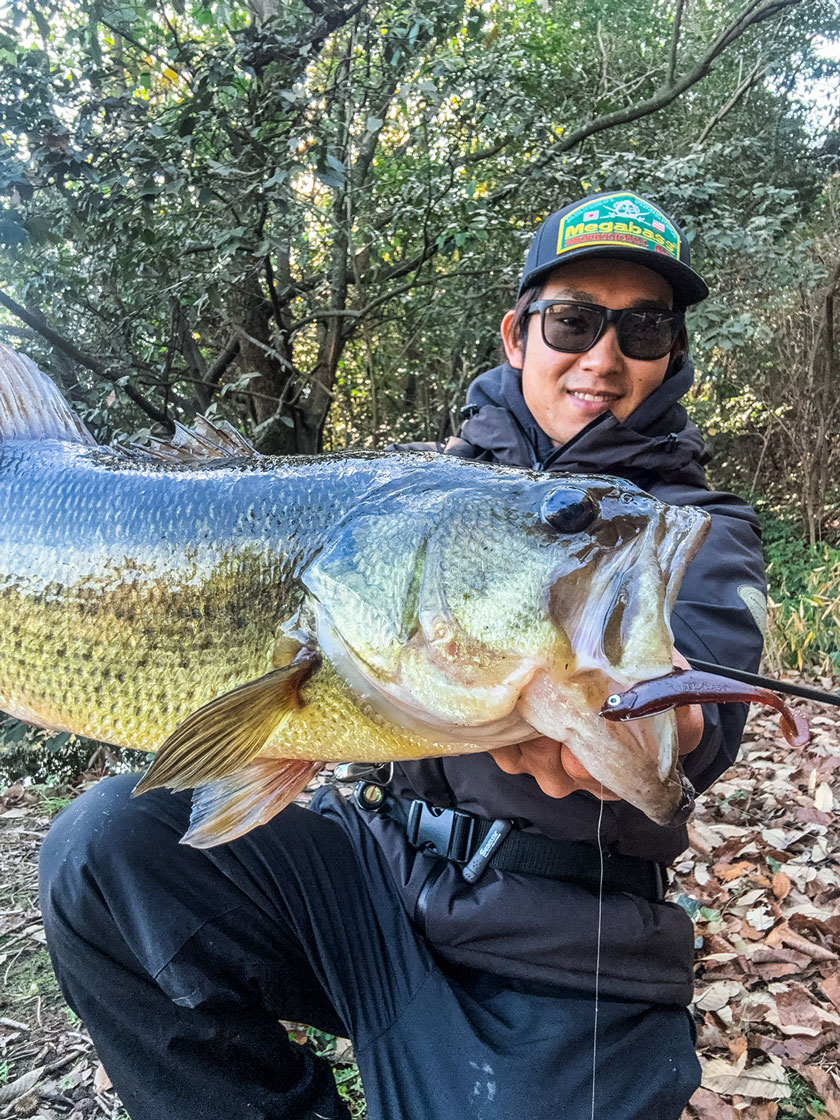 Megabass メガバス株式会社 (@megabass_jp) / Posts / X