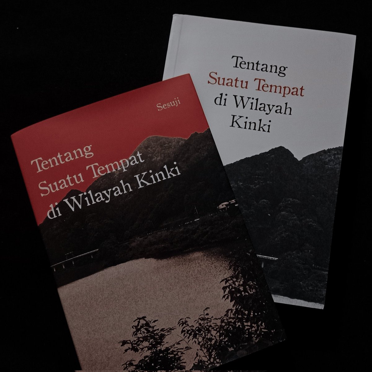 bayuderu's tweet image. Judul: Tentang Suatu Tempat di Wilayah Kinki
Penulis: Sesuji