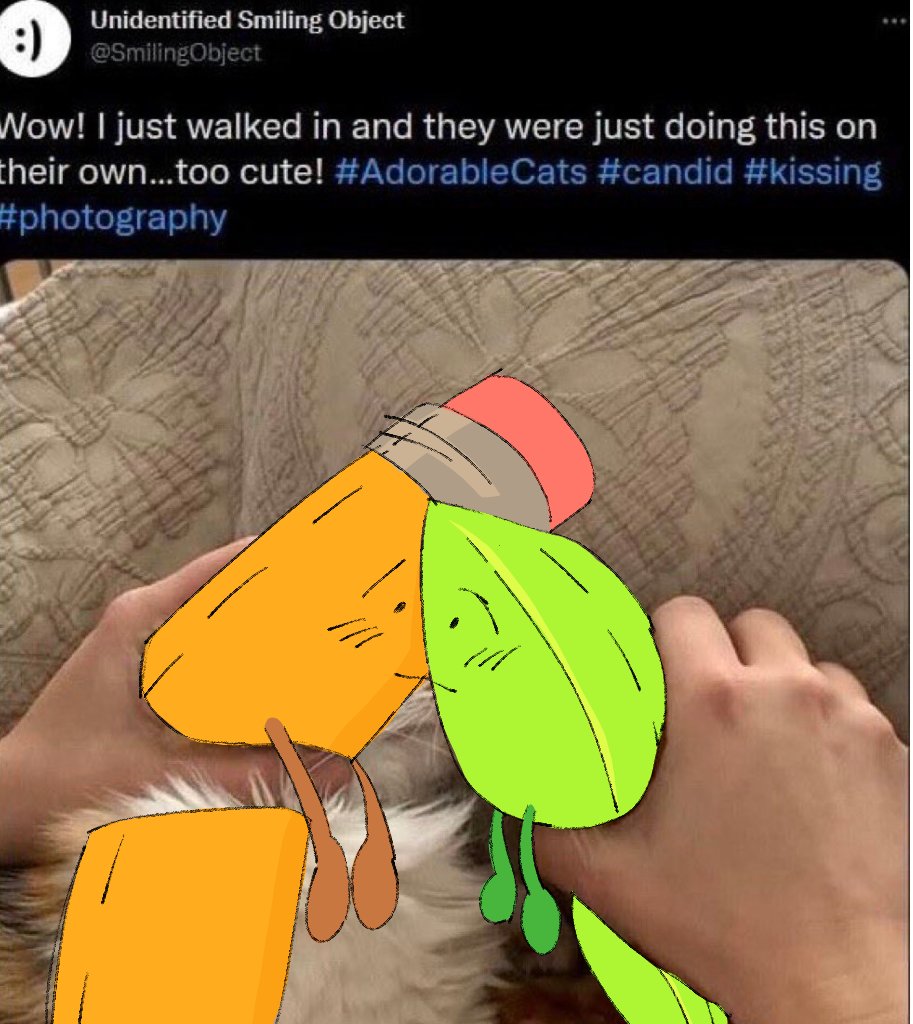 timelyleafcil's tweet image. 12