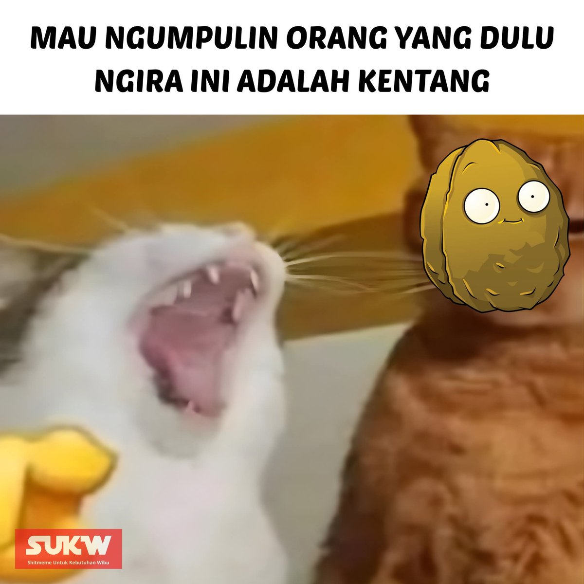 Ketawa itu GRATIS 🛩 (@kucengterbanggg) on Twitter photo 