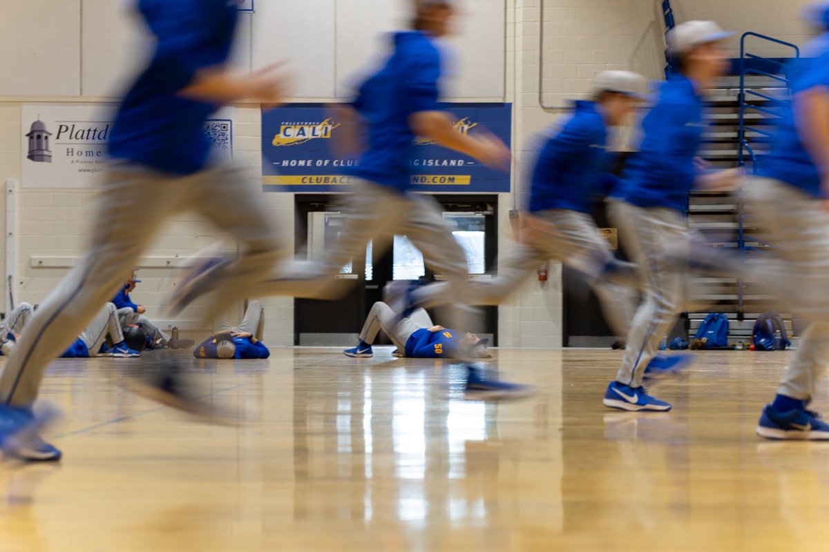 Hofstra Baseball tweet media