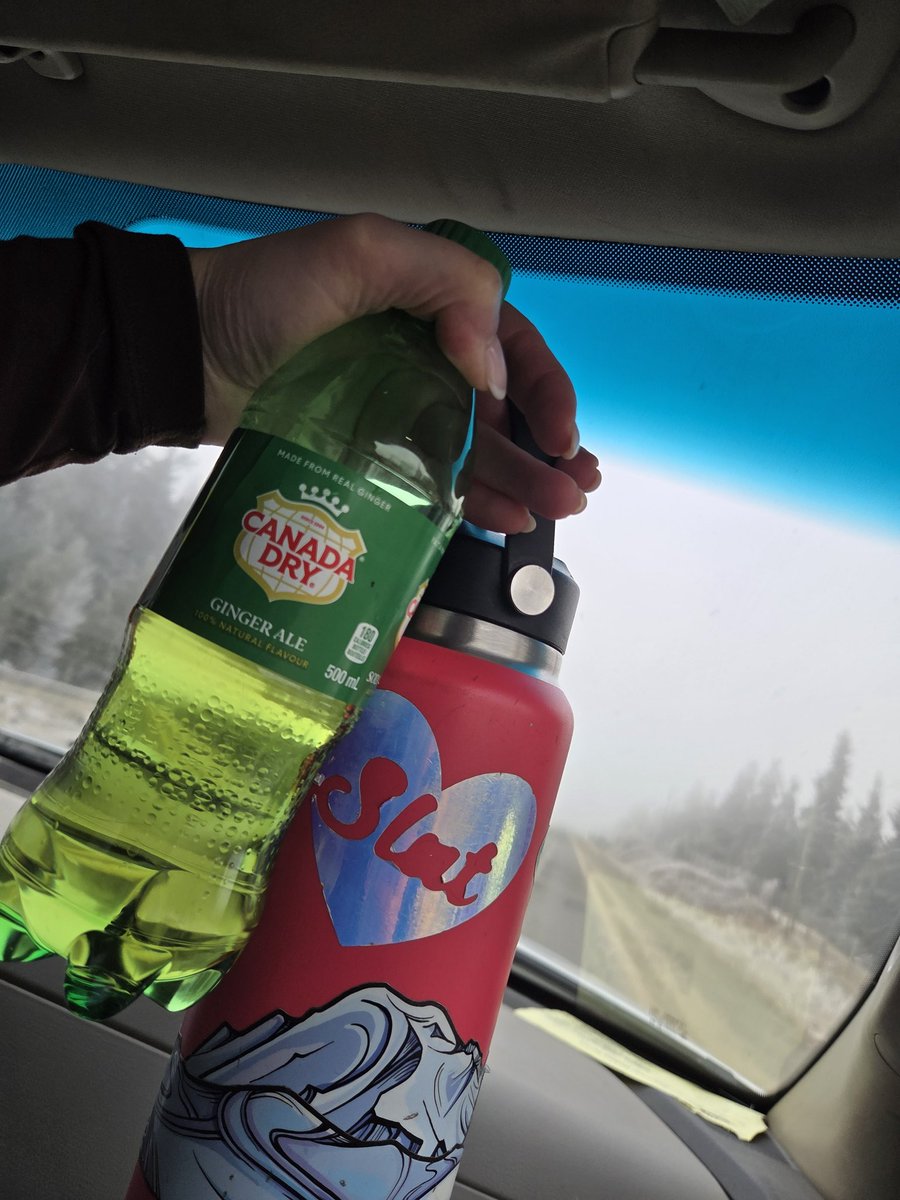 Chugging a bunch of liquids on my road trip and gonna see how long I can hold it. 
Any guesses??