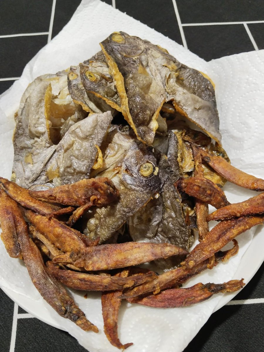 Lenz0819's tweet image. Fried #Danggit con #DaingNaPusit 😻😋🦑
Breakfast tamu😘💚