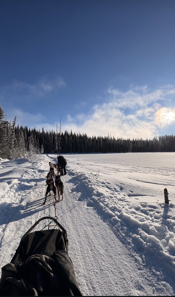 Happy Birthday to my daughter who in the last eighteen months has gone from driving cattle to driving air seeders to driving sled dogs. 

Living the dream.