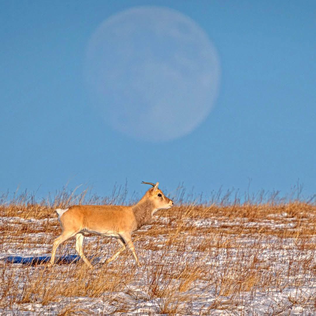 minii_darkhan's tweet image. Өглөөний мэнд