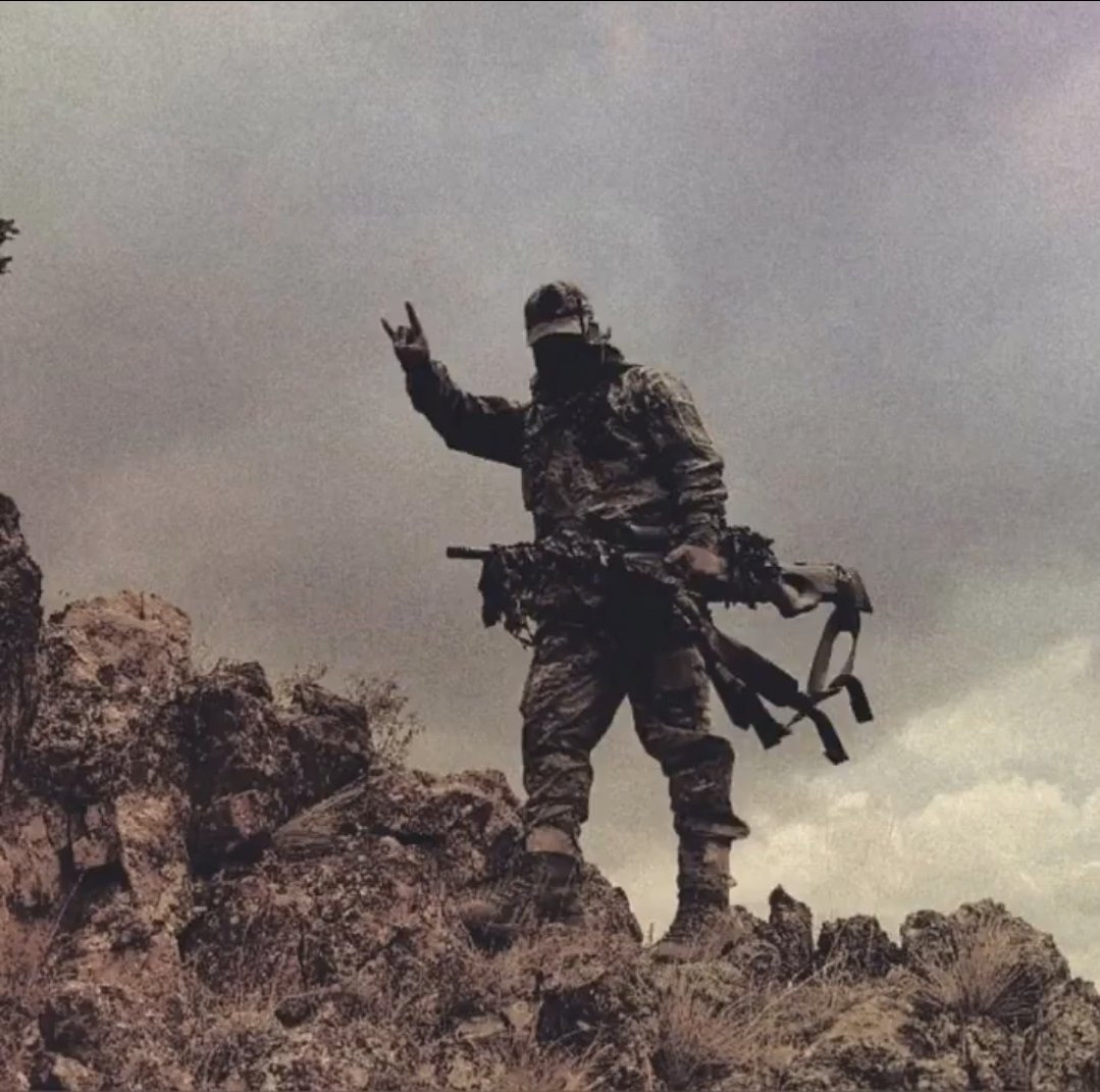 Palips 🇹🇷🐺 tweet media