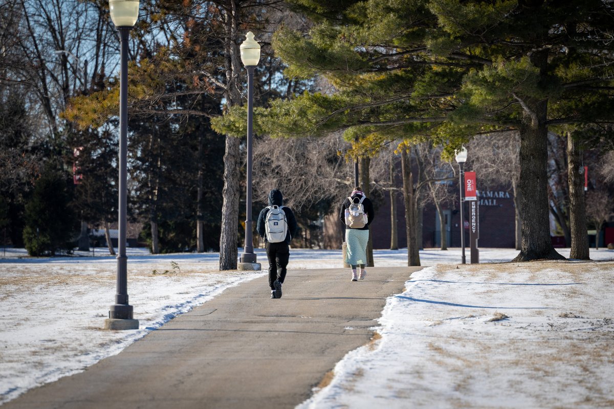 LewisUniversity's tweet image. A new adventure begins this Spring at #LewisU! 🌱✈️

Let’s soar into the semester together, Flyers.

#springsemester #firstdayofschool