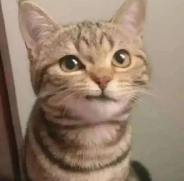 ohyulification's tweet image. 