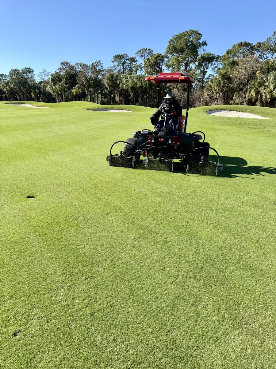 DarrenJDavisGCS's tweet image. The @TifTufTurfgrass fairways at #oldefloridagolfclub are maintaining their color and density - even with the cooler temperatures we’ve been experiencing in #swfl We’re in a great spot with all of the short grass! @GCSAA @FGCSA #golfcoursesuperintendent @ToroGolf @wescoturf