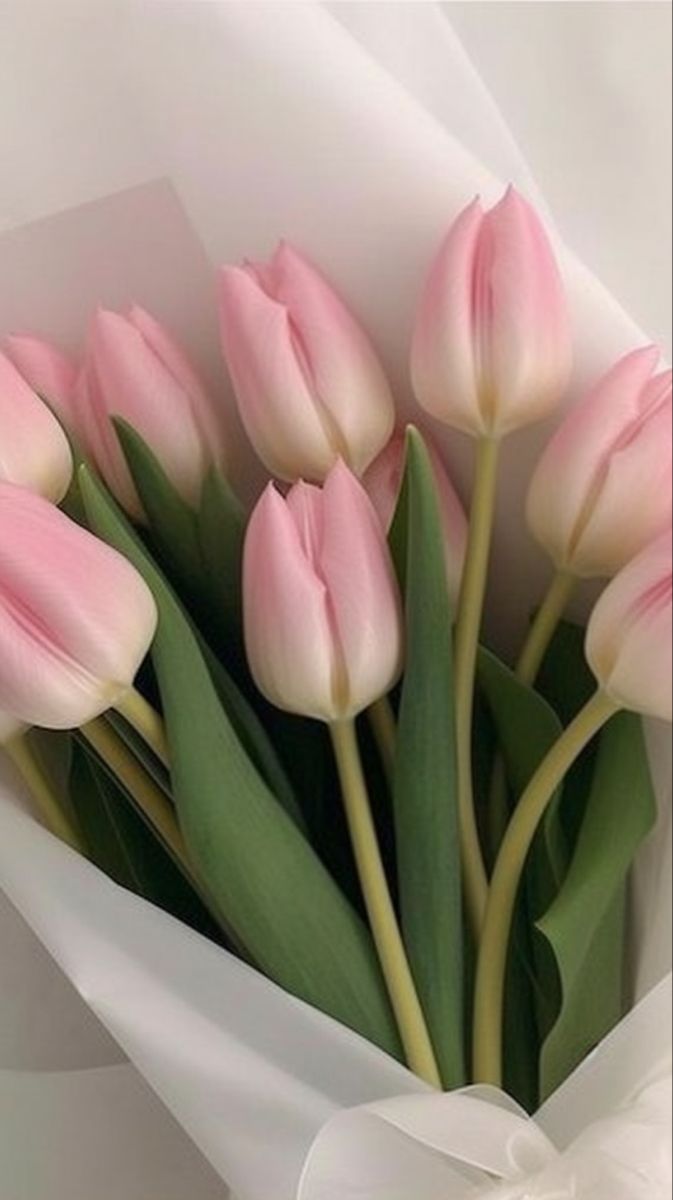 Marisol ❤ tweet media