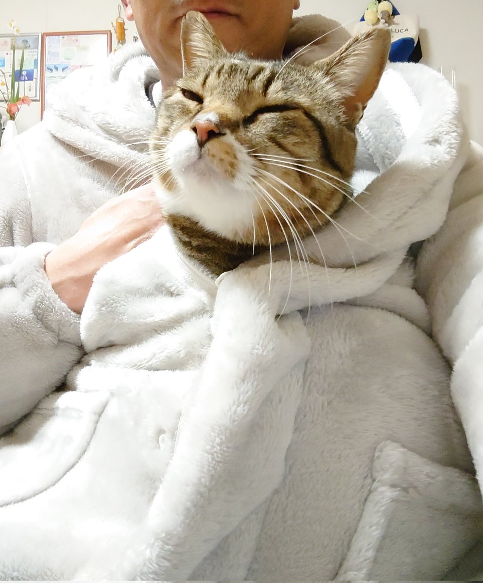 settunn1220's tweet photo. おはようございます。
もふもふ in もふもふ。
むちち共々元気です、今年もゆったりとよろしくお願いします。 https://t.co/ia8cyIwjCw