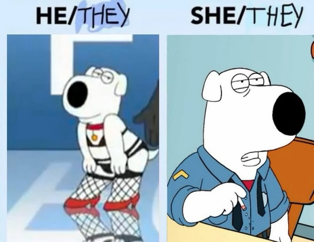 chumblings's tweet image. 