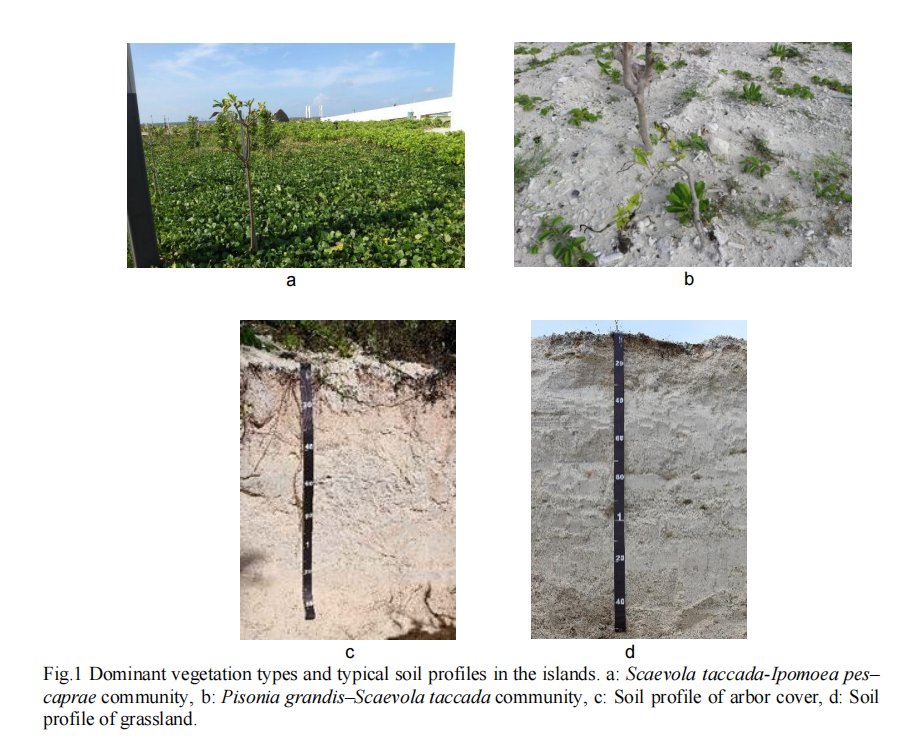 Pedosphere tweet media