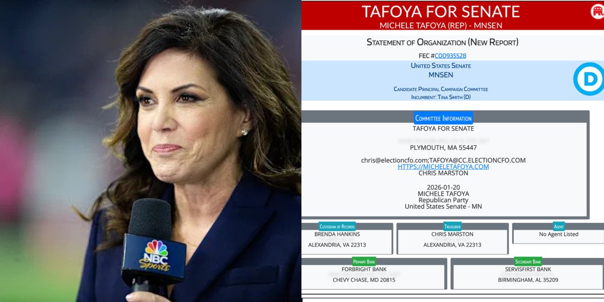 Former sports reporter Michele Tafoya has filed FEC paperwork to run as a Republican for US Senate in Minnesota.