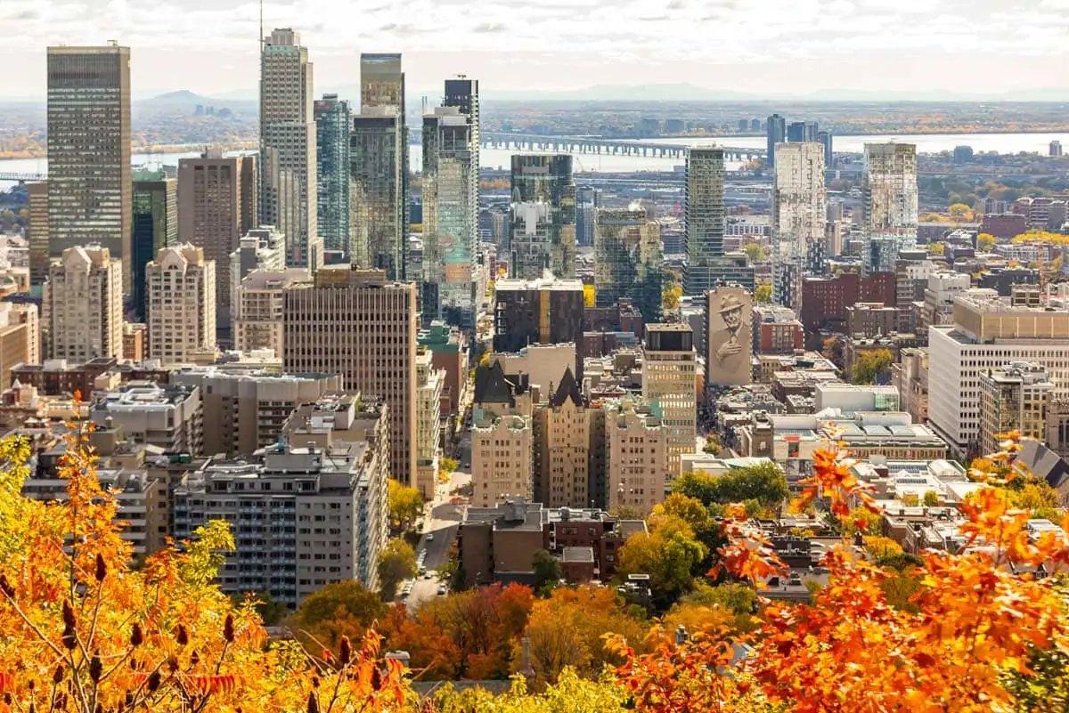 Nothing GOEs tweet media