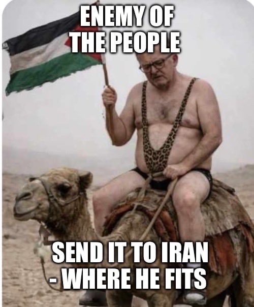 <a href="/AlboMP/">Anthony Albanese</a>