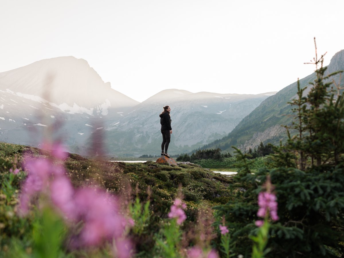 Alberta Parks tweet media