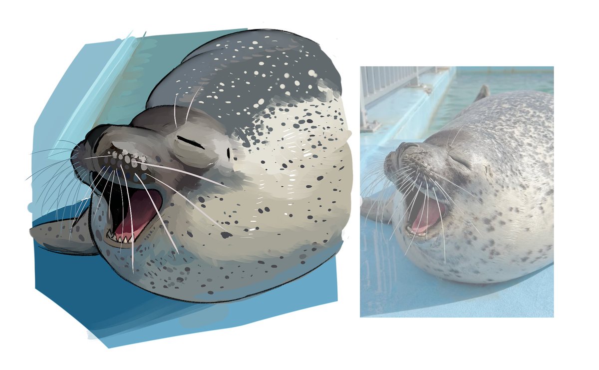 🏴‍☠️ DynamicAfro 🏴‍☠️ tweet media