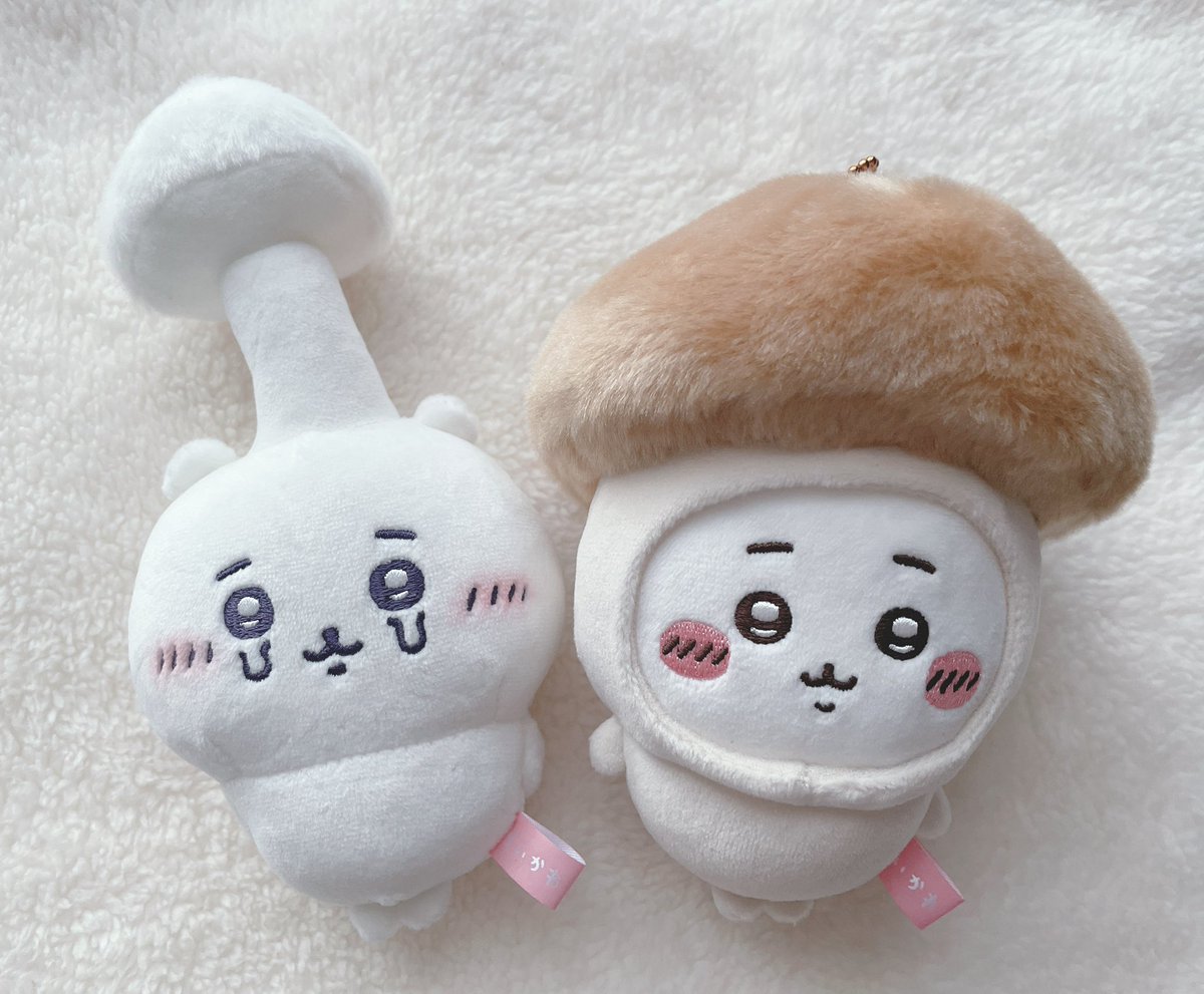 shifonca_ke's tweet image. ﾄﾞｺﾄﾞｺｷﾉｺ ｺﾉｷﾉｺﾄﾞｺﾉ 🎶

ﾄﾞｺﾄﾞｺｷﾉｺ ｶﾜｲｲｷﾉｺ🎶🍄ｷﾉｺﾁｲ🌱