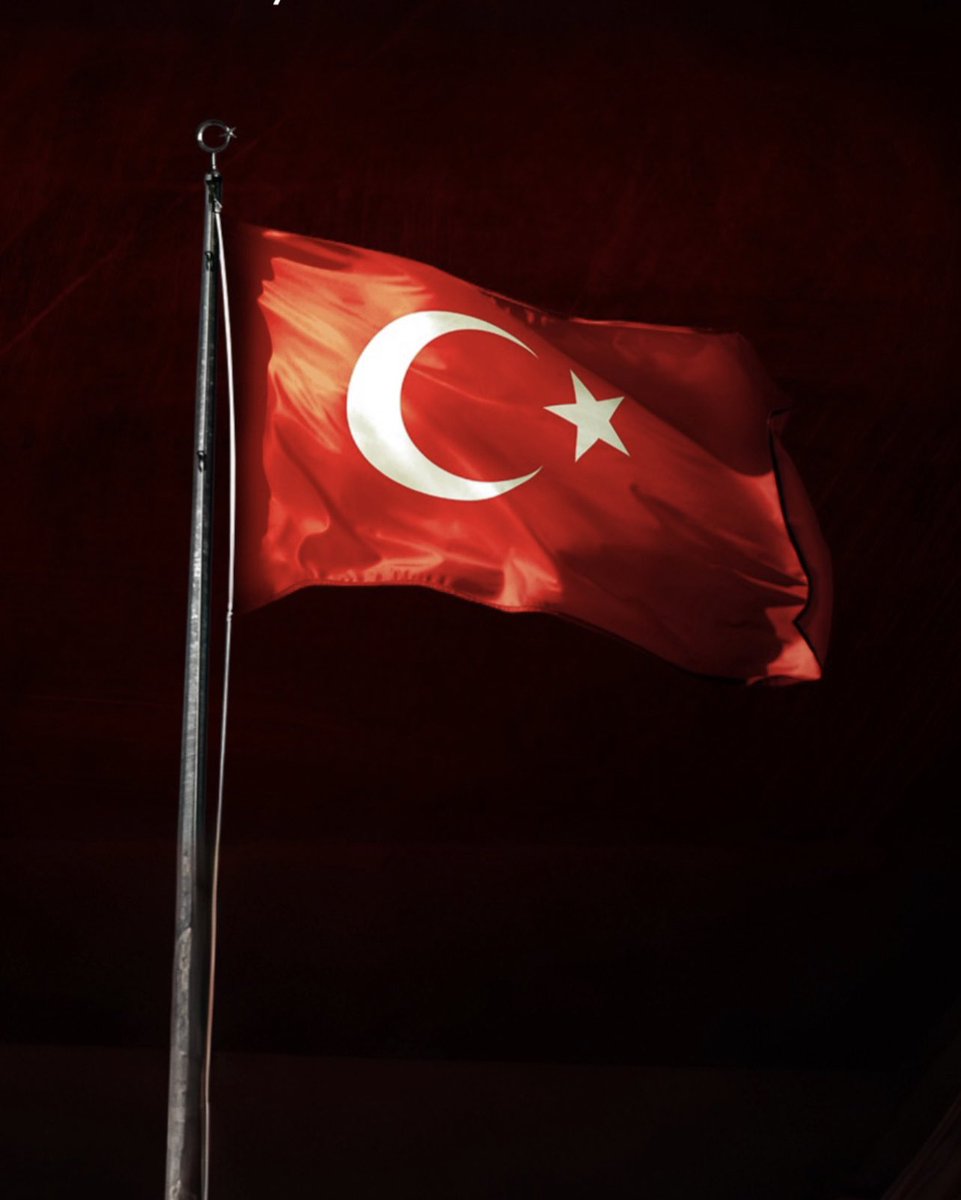 TÜRK BAYRAĞINA uzanan el, Türk Milletinin KALBİNE  uzanmıştır! #BayrakNamustur
