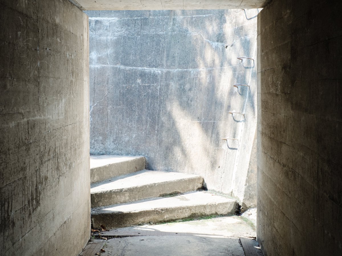 君はどこにいくの？