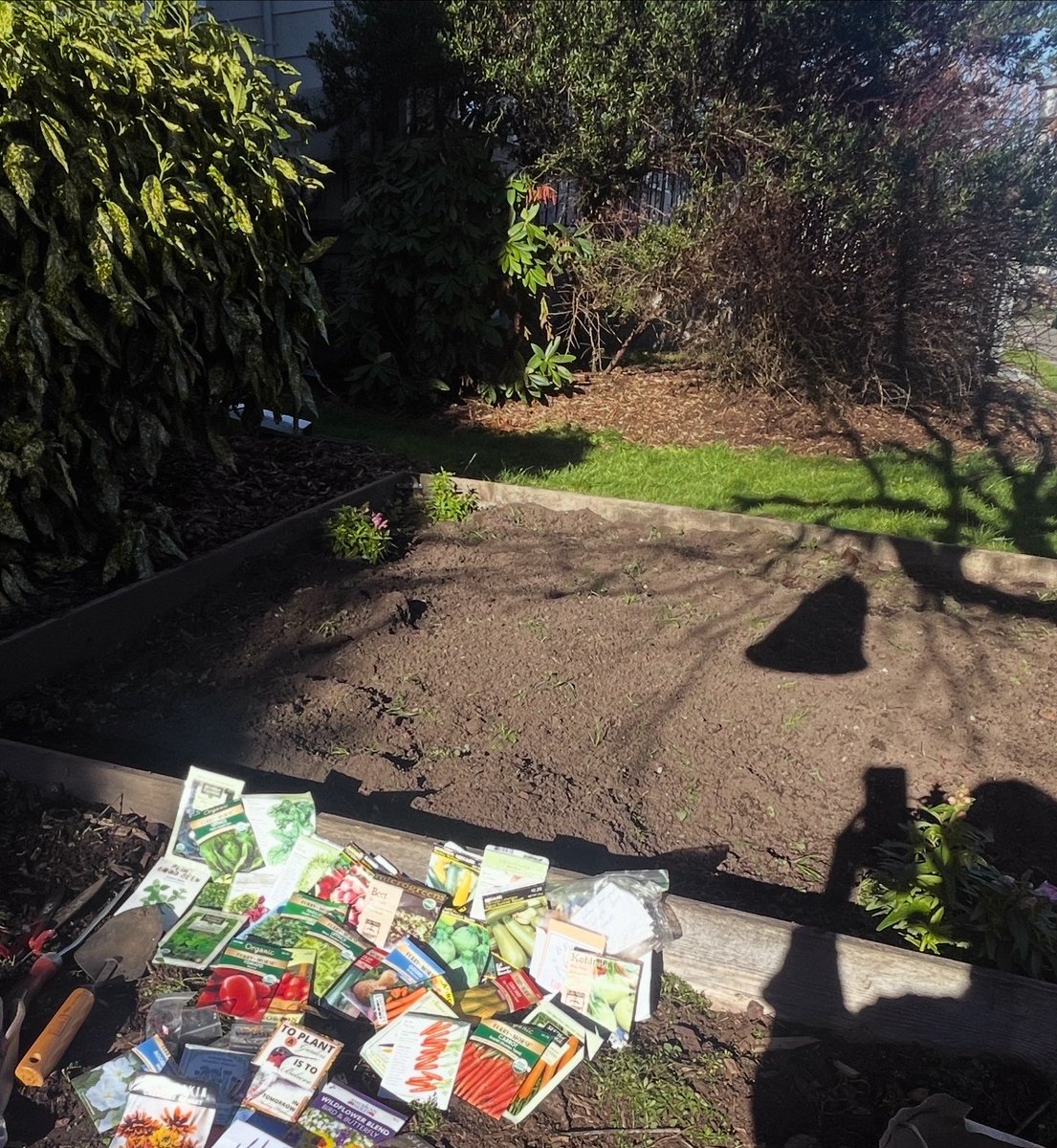 jaclyncreations's tweet image. Let’s go! Garden season is here! 🌱🌱 So thankful for my dad and his helping hands in preparing the garden beds. This is how abundance grows.

#jaclyncreationspdx #garden #seedtotable #abundance #plantbased 🌿