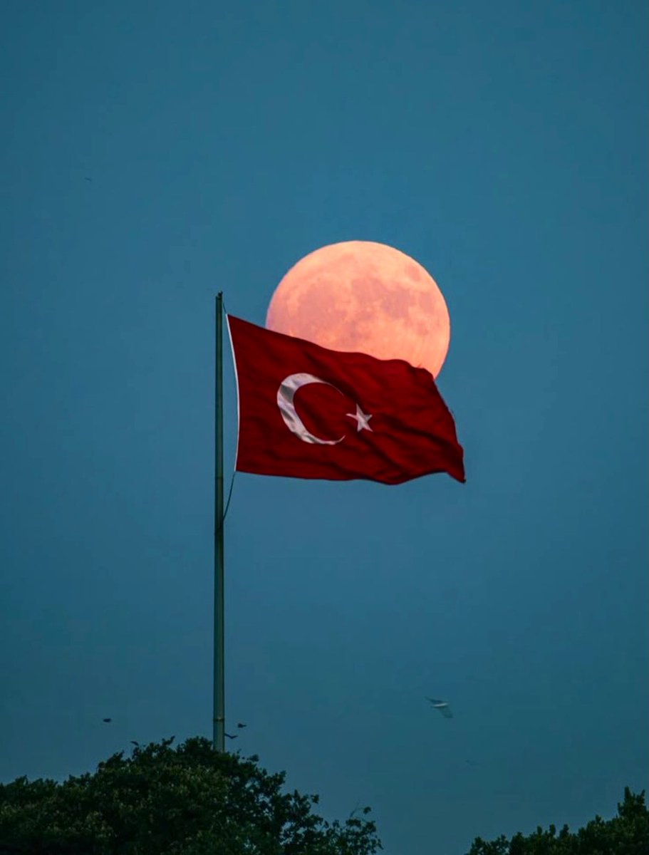 Yeryüzünde yer beğen, nereye dikilmek istersen söyle seni oraya dikeyim..
#bayrak