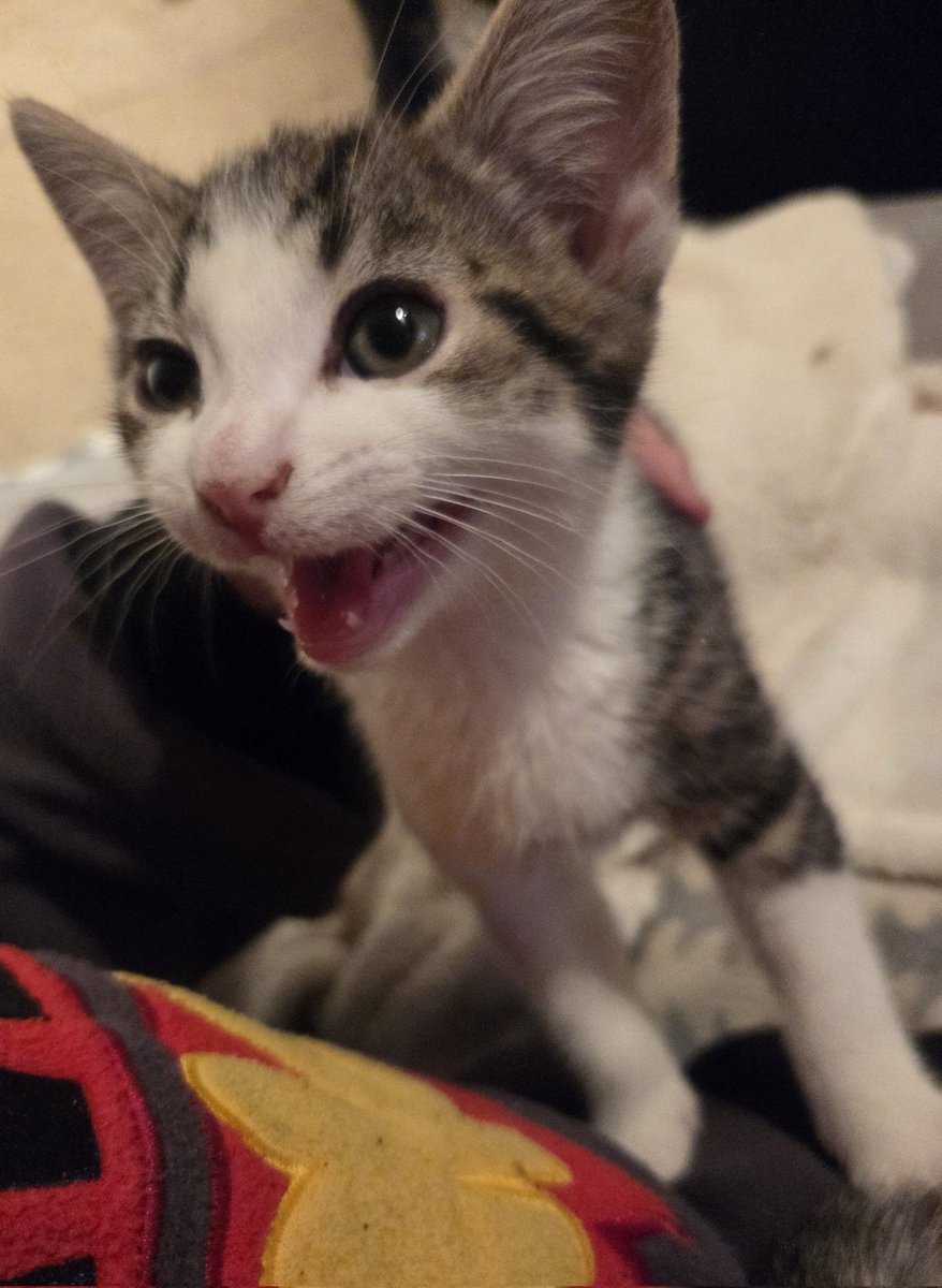 me genuinely worrying about this back in october just for this mf to end up rejecting the concept of personal space since day 1