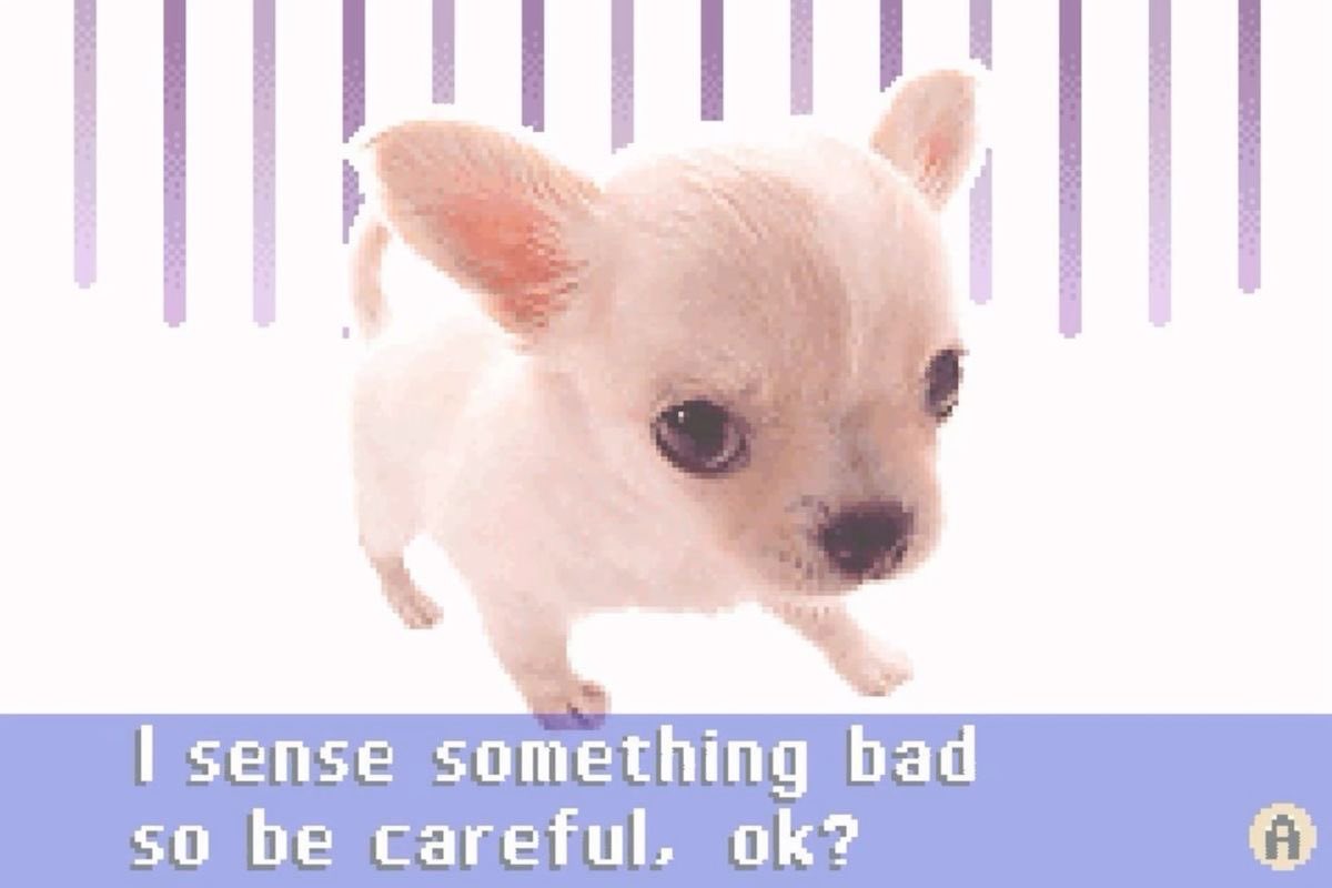 urrrinal's tweet image. 