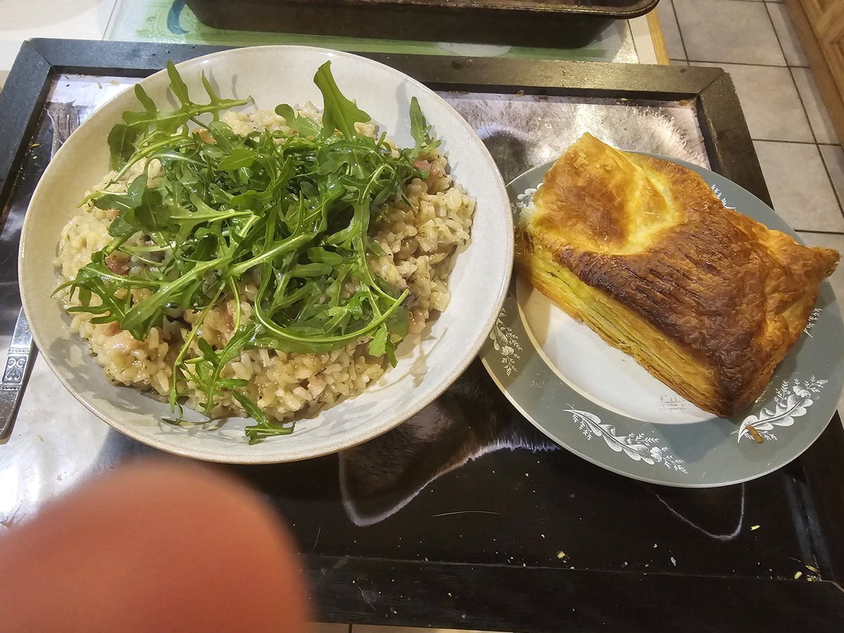 JakFire's tweet image. Watching Ice Age 2 with a dog on my lap after a meal of Salmon en crout and Mushroom and Bacon risotto. Life ain't so bad sometimes