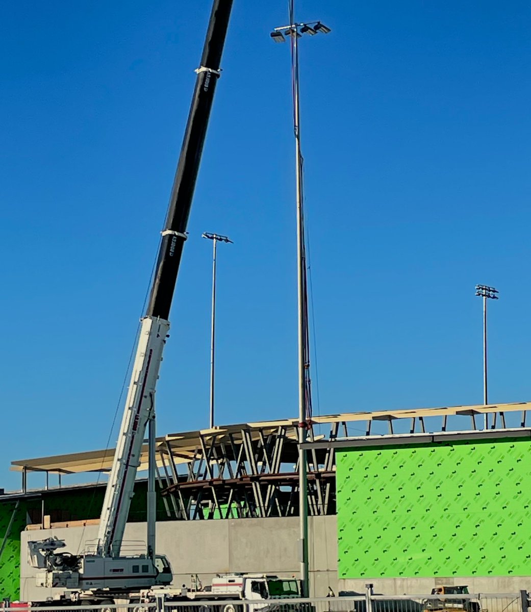 Energy City Cactus Rats tweet media