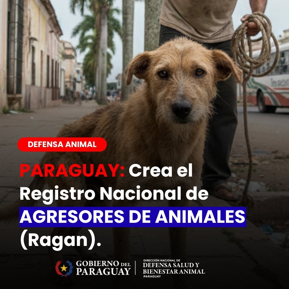 🐾 ¡Histórico! Paraguay lanza el RAGAN: Primer Registro Nacional de Agresores de Animales

Damos un paso firme en la protección de quienes no tienen voz. Con la creación del RAGAN, el Estado paraguayo fortalece el control y la justicia para garantizar el bienestar animal.