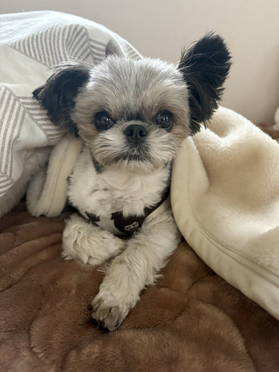 おはようございます