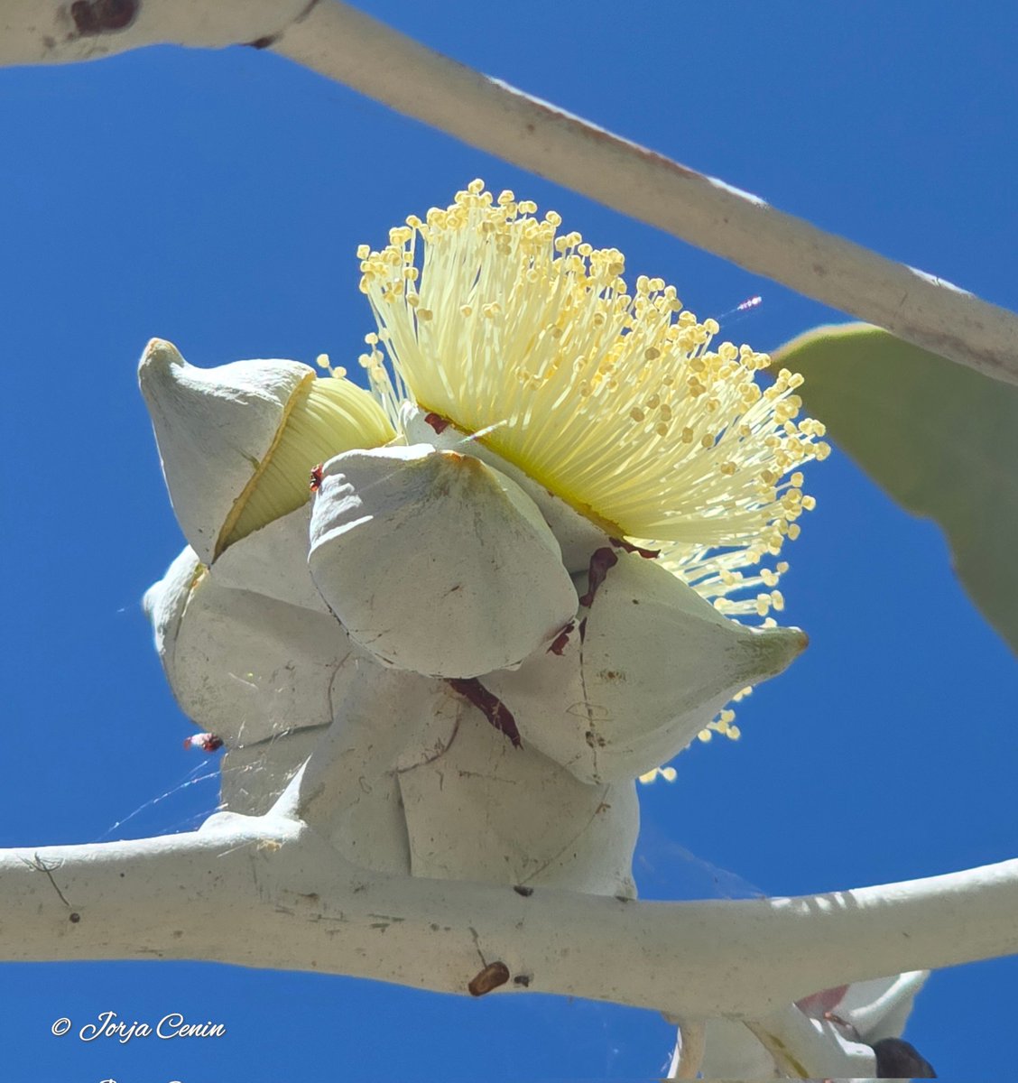 Into Nature Photography with Jorja tweet media