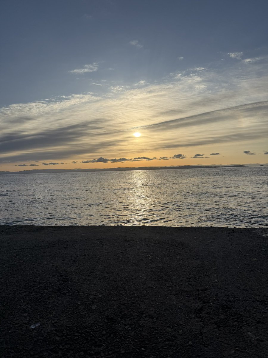 与田りん tweet media