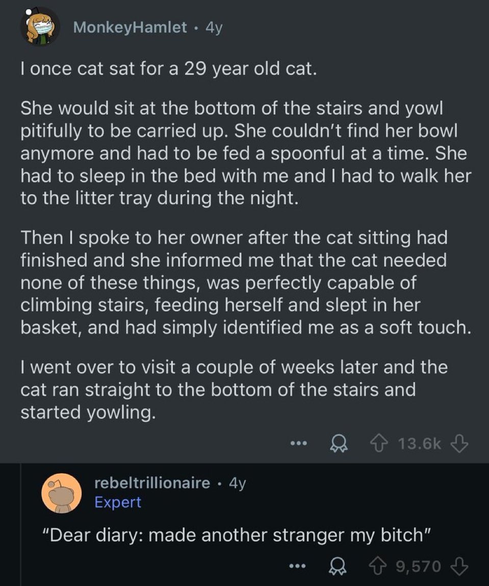 redditrepostss's tweet image. 