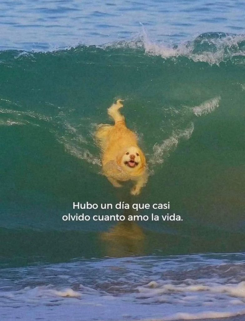 🌙 mini textos (@soyminitextos) on Twitter photo 