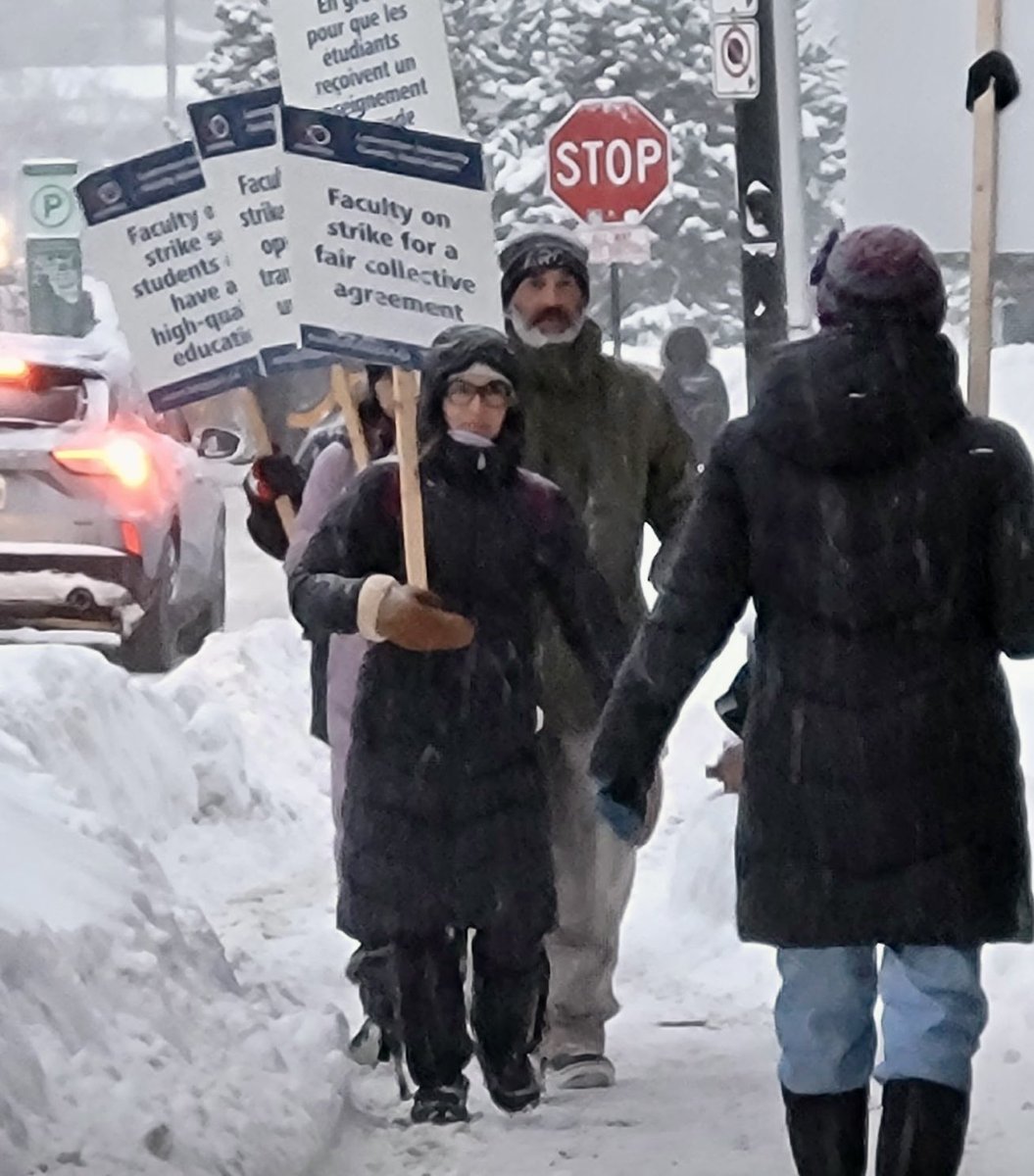 Dr. Taima Moeke-Pickering She/Her 🐶🌈 tweet media