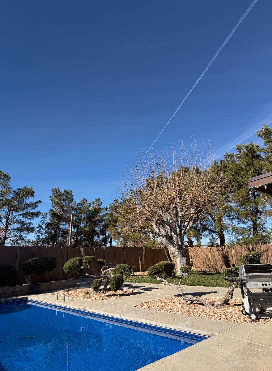 Jennah Lane tweet media