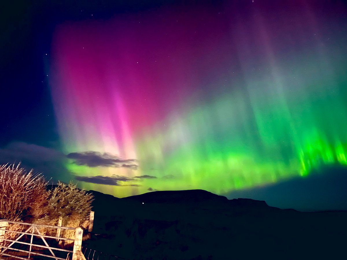 James MacInnes tweet media