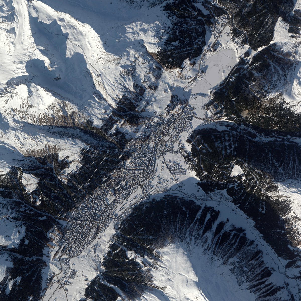 Will Marshall tweet media