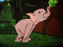 SophieTucker88's tweet photo. A Happy 66th Anniversary to the Disney short, Goliath II! #Goliath2 #Goliath #Disney https://t.co/QrAG6Prlit https://t.co/xPkGdH7mZ0
