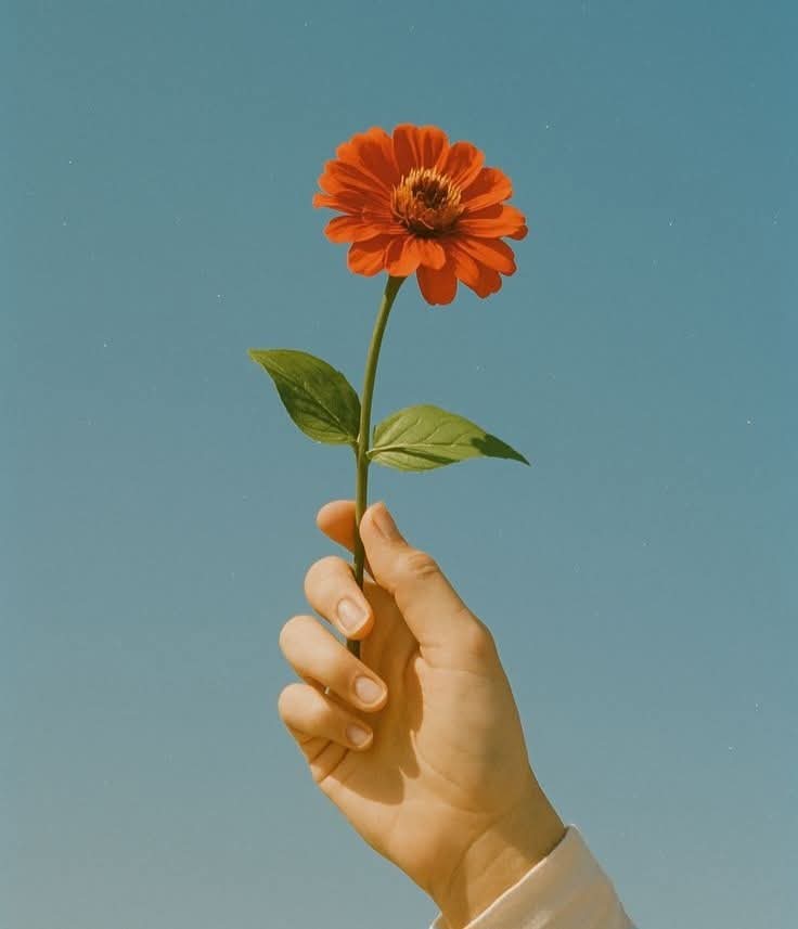 sunflow23002724's tweet image. ไม่มีอะไรสอนเราได้ดี เท่าบทเรียนที่เราเคยเจอมาด้วยตัวเอง.🍃🏵️