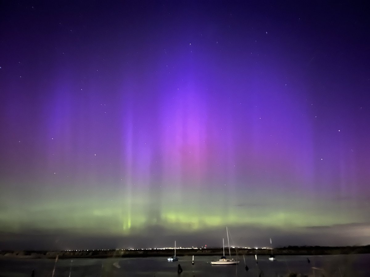 Lepicia of Argentina I tweet media