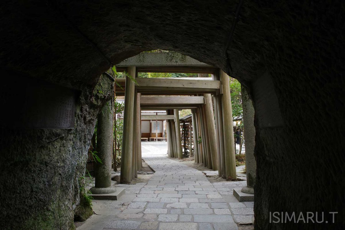 ISIMARU_T's tweet photo. 昨日は毎日文化センター「自然に親しむ山歩き」教室で鎌倉へ。大仏切通から銭洗弁天を経て源氏山に登り、まだ正月の分が残る鶴岡八幡宮にお参り。スイセン、カワヅザクラ、サザンカなどが咲いていました。#鎌倉 #源氏山 #河津桜 #毎日文化センター https://t.co/cqq1HjzybU
