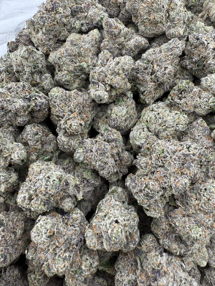 smackinplug's tweet image. TAPIN
Weed Des Moines Cedar Rapids Weed Iowa City Waterloo Weed Council Bluffs Dubuque Ankeny Urbandale Weed Cedar Falls Bettendorf Marion Weed Fort Dodge Muscatine Weed North Liberty  Weed Oskaloosa Spencer Weed Charles City Decorah Grinnell Boone Weed Waverly Mount Pleasant